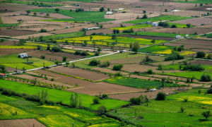 Proyectos de loteos y valoración de parcelas rurales en Chile